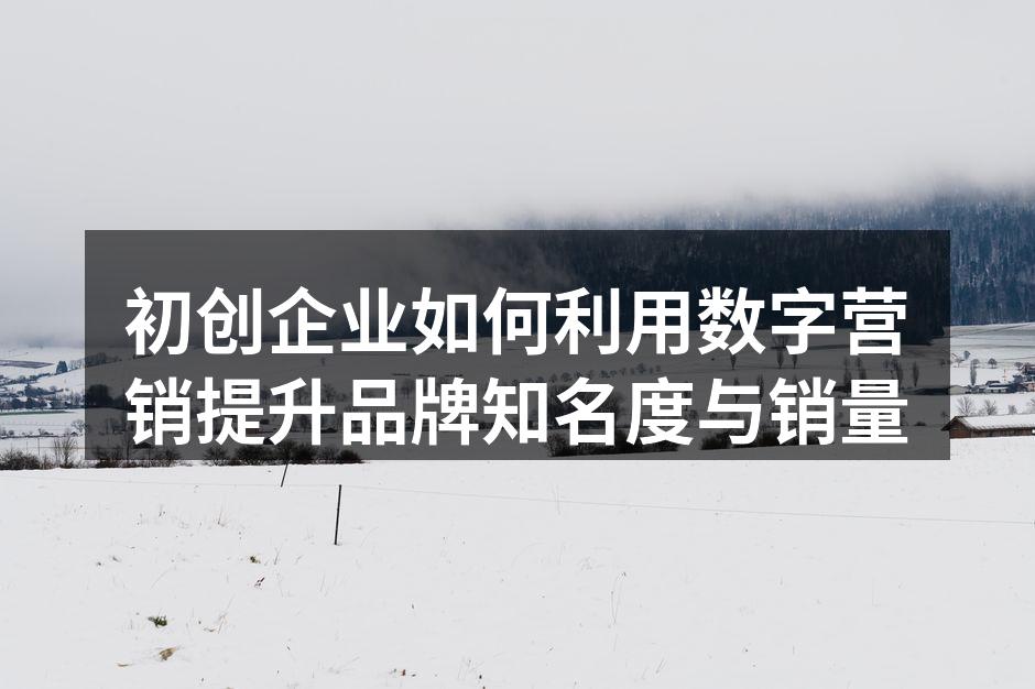 有效的数字营销策略